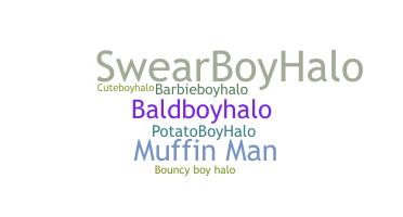 Nickname - BadBoyHalo