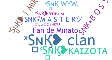 Nickname - sNk