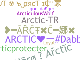 Nickname - Arctic