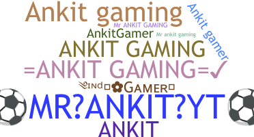 Nickname - AnkitGaming