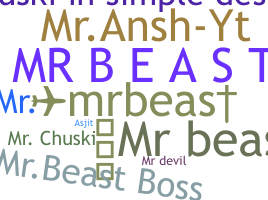 Nickname - mr.beast