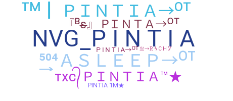 Nickname - Pintia