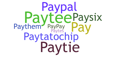 Nickname - Payten