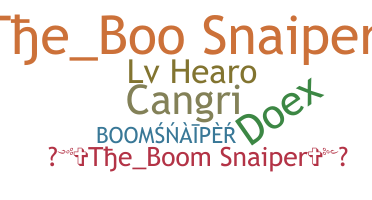Nickname - BoomSnaiper