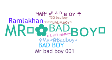 Nickname - Mrbadboy
