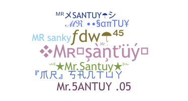 Nickname - Mrsantuy