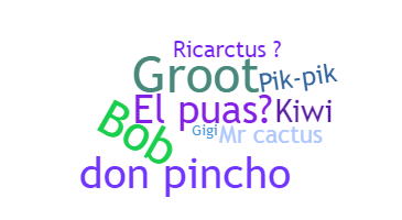 Nickname - Cactus