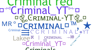 Nickname - CriminalYT