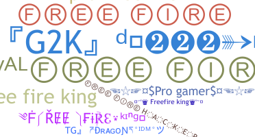 Nickname - Freefireking