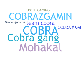 Nickname - CobraGang