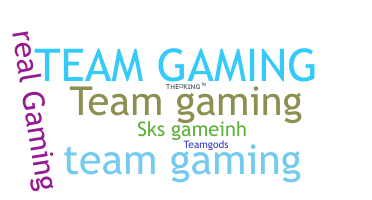 Nickname - TeamGaming
