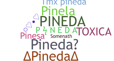 Nickname - Pineda