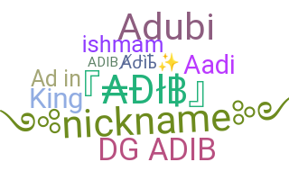 Nickname - Adib