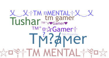 Nickname - Tmgamer