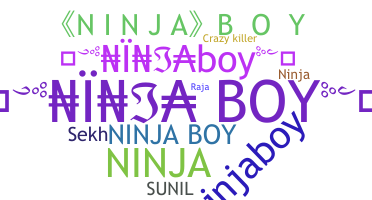 Nickname - NinjaBoy