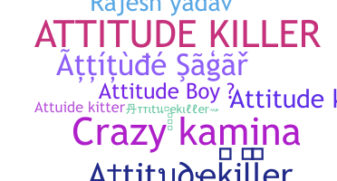 Nickname - Attitudekiller