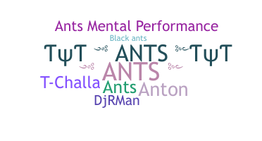 Nickname - ANTS