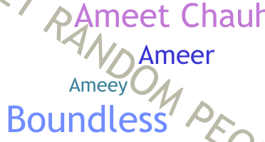 Nickname - ameet