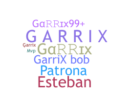 Nickname - Garrix