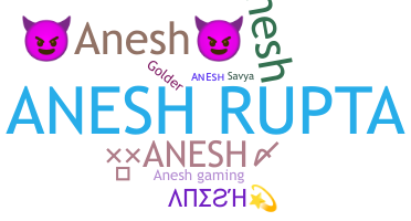 Nickname - Anesh
