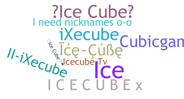 Nickname - icecube