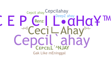 Nickname - CepcilAhay