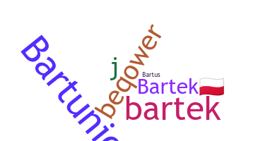 Nickname - bartek