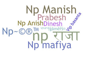 Nickname - Npgamers