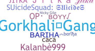 Nickname - bariha