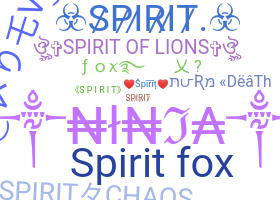 Nickname - Spirit