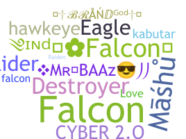 Nickname - Falcons