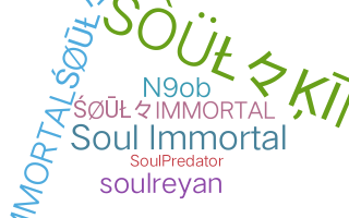 Nickname - SoulImmortal