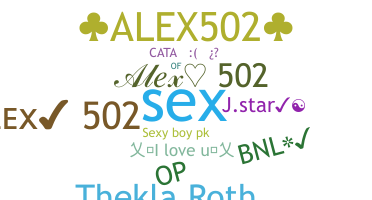 Nickname - Alex502