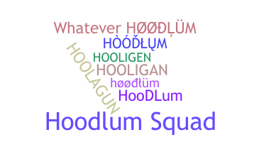 Nickname - hoodlum